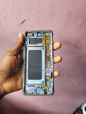 Samsung S10 Plus Display