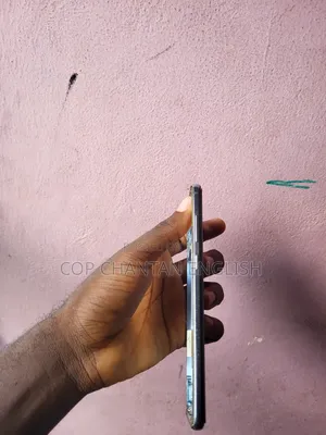 Samsung S10 Plus Display