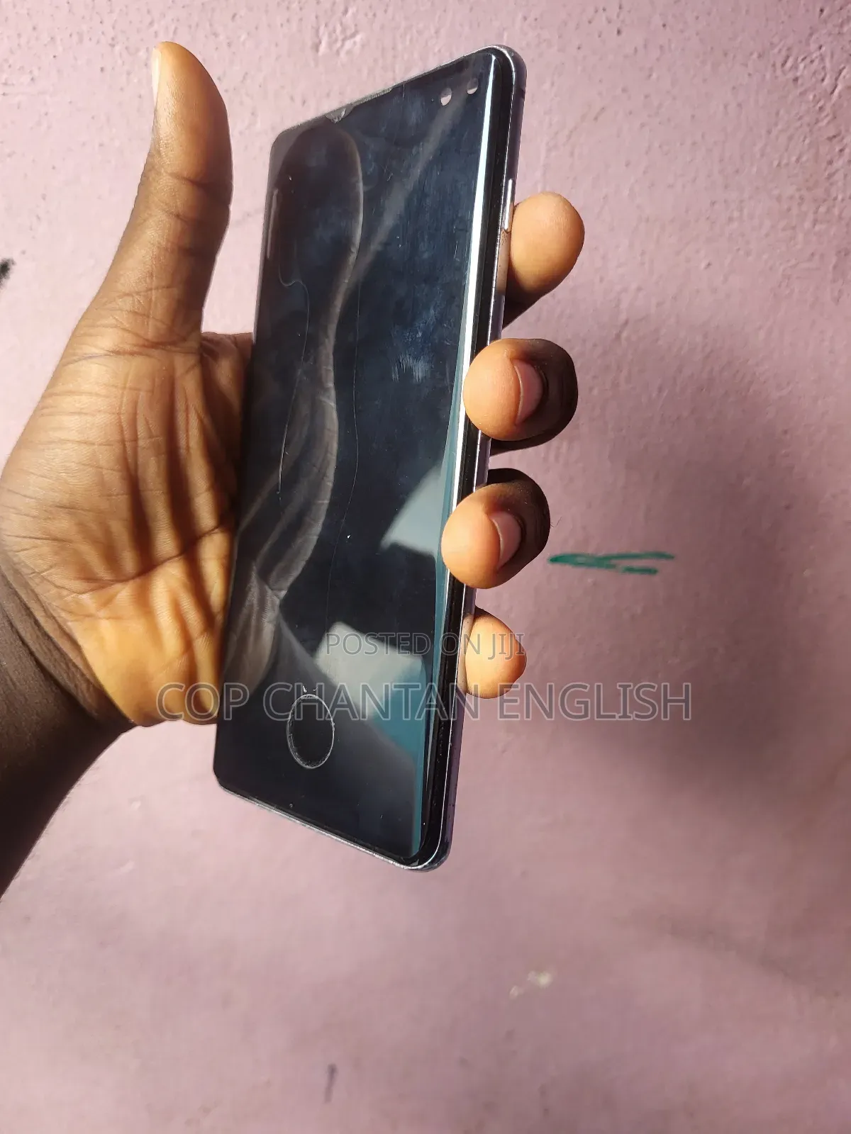 Samsung S10 Plus Display