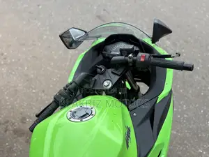 Kawasaki Ninja 300 2015 Green
