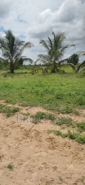Land Situated at Sogakope in the Volta Region, Fully Registered Going