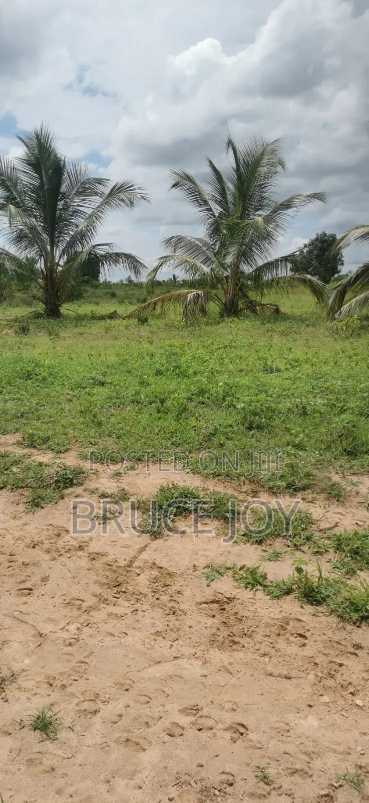 Land Situated at Sogakope in the Volta Region, Fully Registered Going