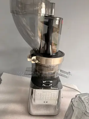 500w Commercial Fruit Juicer