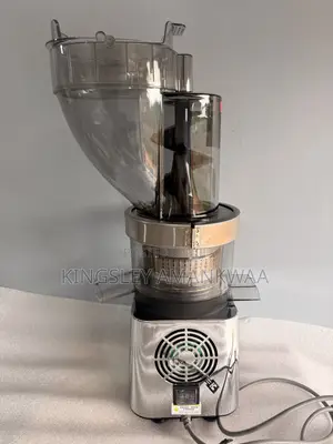 500w Commercial Fruit Juicer