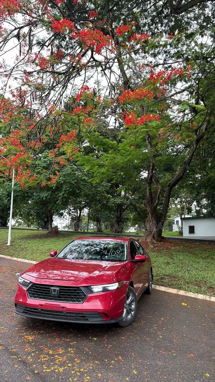 Honda Accord EX CVT 2024 Red