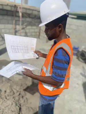 Project Supervisor