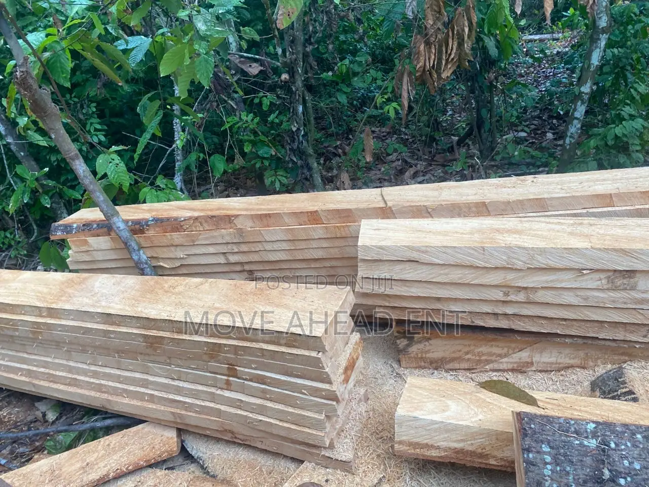 Quality And Affordable Woods