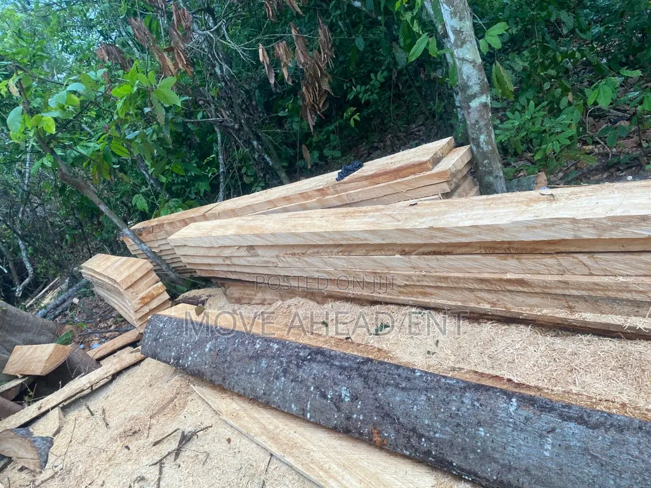 Quality And Affordable Woods
