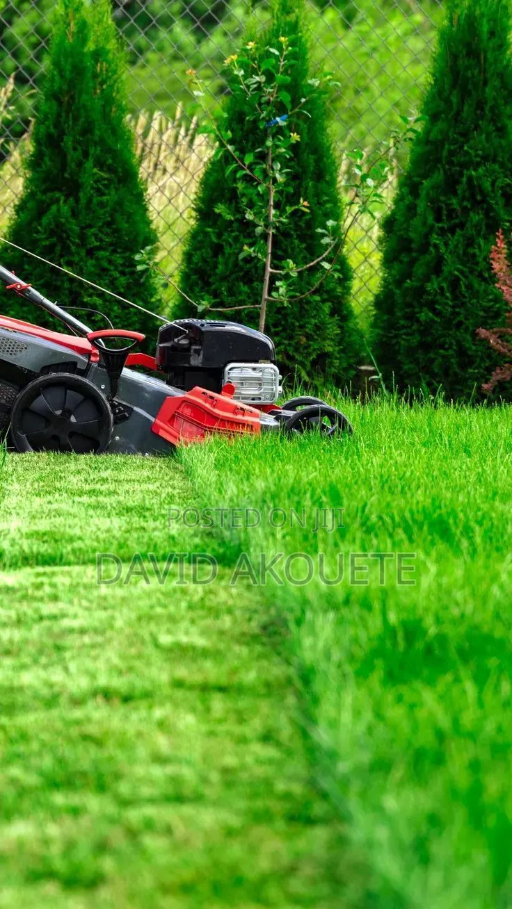 Cleanex Ghana