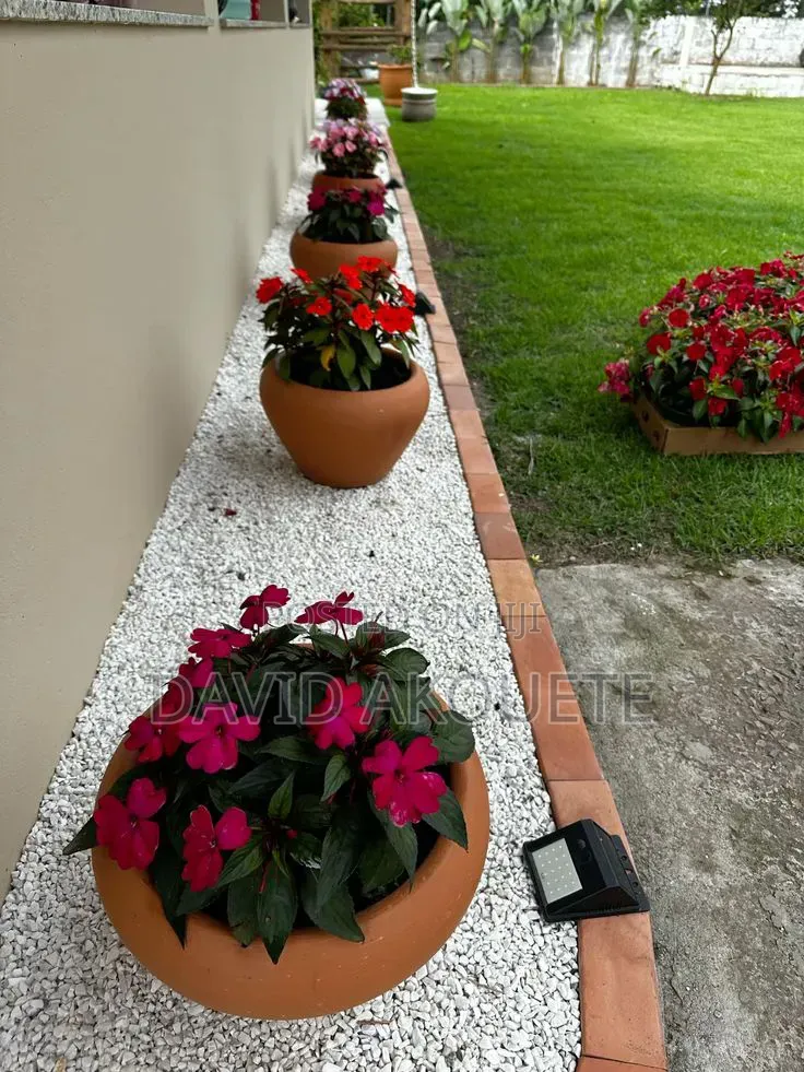 Cleanex Ghana