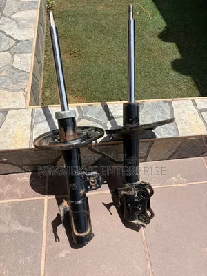 Toyota Rav 4 2015, 2016 Shock Absorber