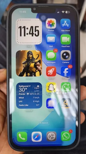 Apple iPhone 13 Pro Max 1 TB Blue