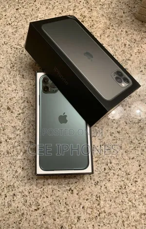 Apple iPhone 11 Pro Max 256 GB Gray