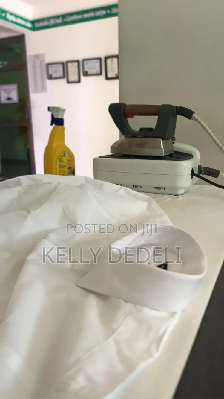 Express Laundry Services