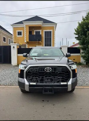 Toyota Tundra Limited CrewMax 5.5' Bed 2024 Gray