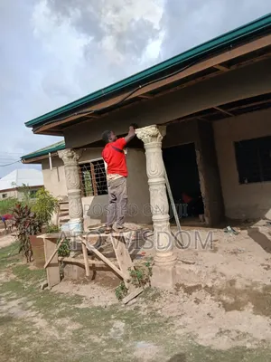 Professional Plastering Work