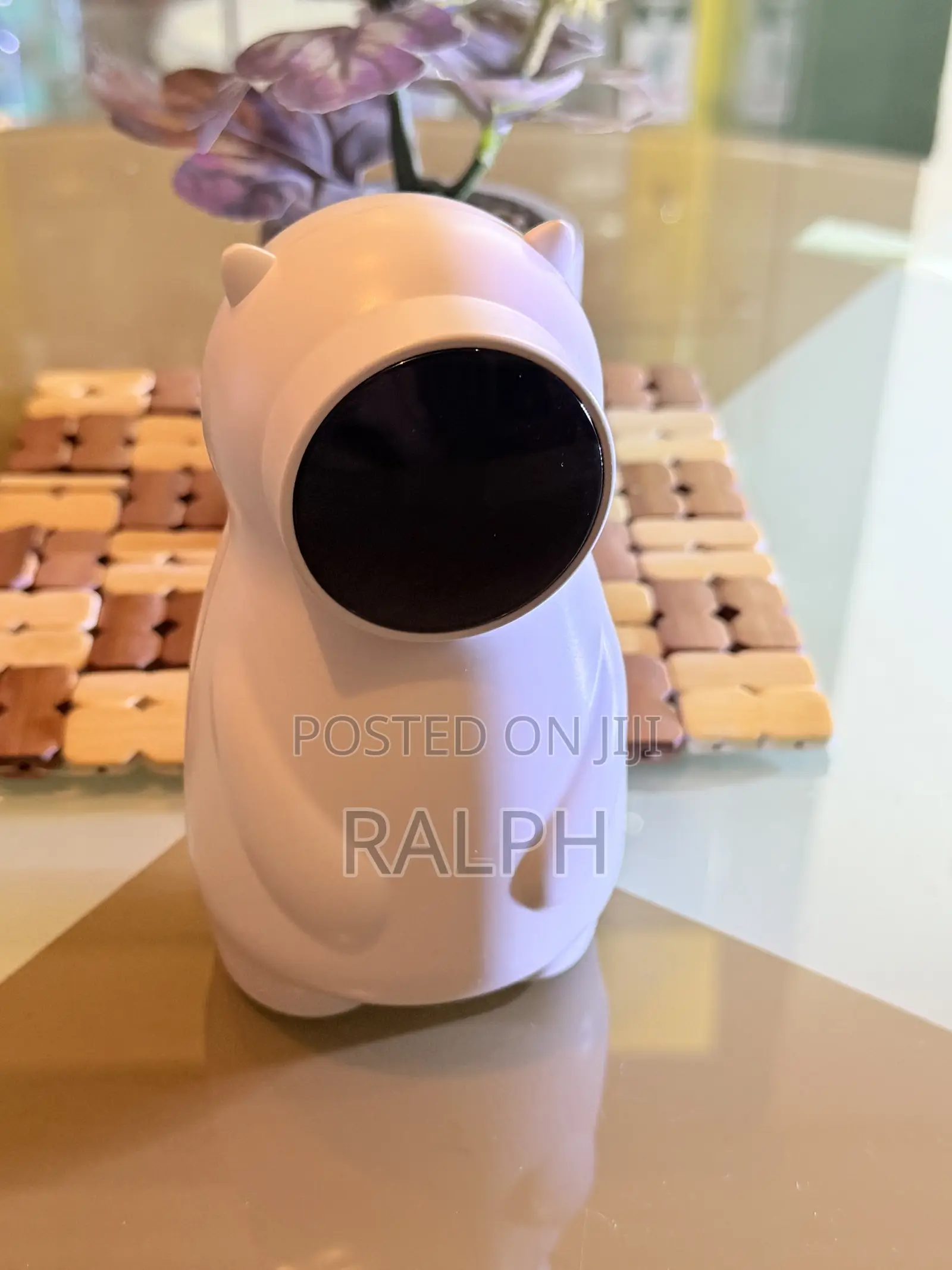 Automatic Pets Laser Toy