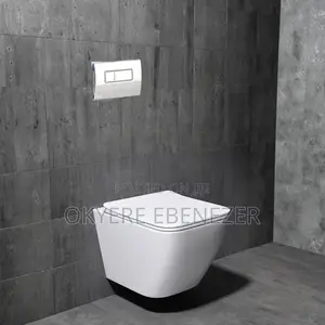 Professional Plumbing Solutions