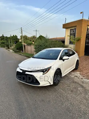 Toyota Corolla 2022 White