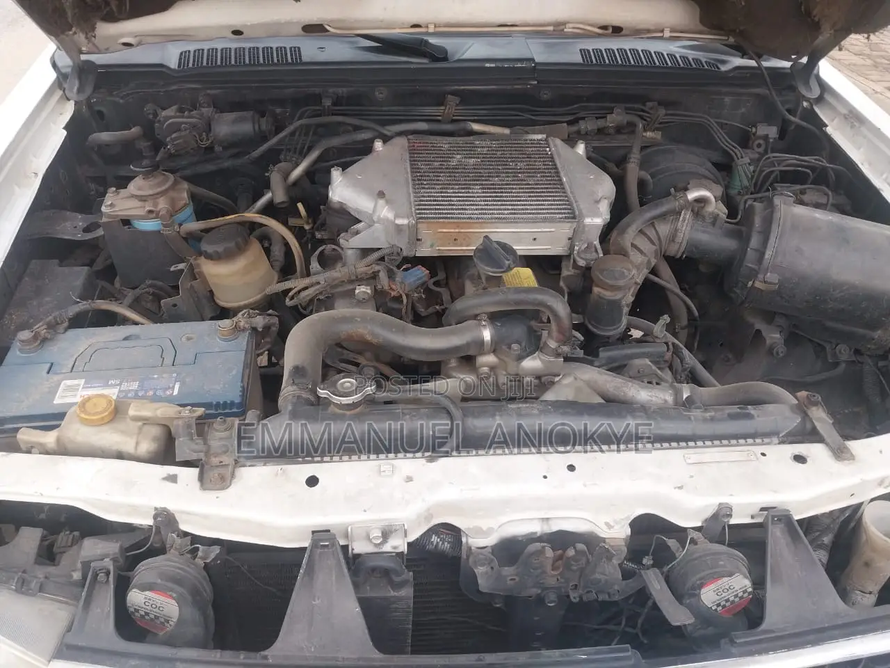 Nissan Hardbody 2010 White