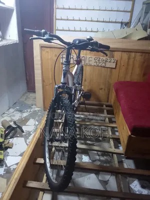 Bicycle Going for a Cool Price