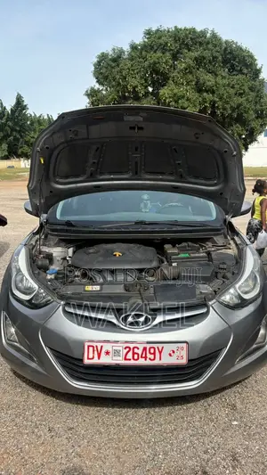 Hyundai Elantra 2015 Gray