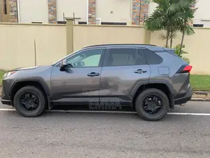 Toyota RAV4 LE AWD 2019 Gray