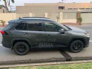 Toyota RAV4 LE AWD 2019 Gray
