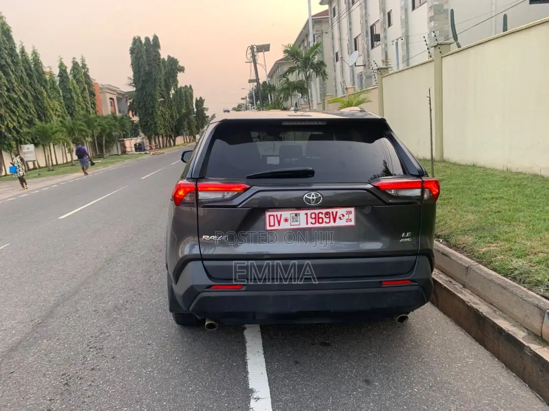 Toyota RAV4 LE AWD 2019 Gray