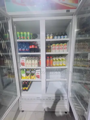 Delron Double Door Display Fridge