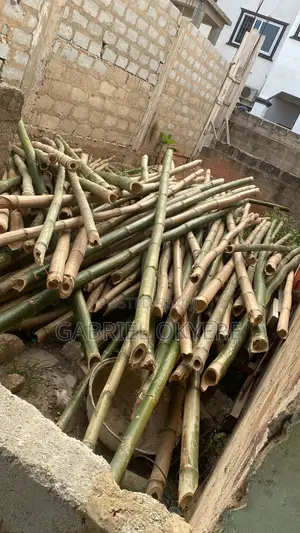 Wood Bamboo Nails