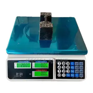 Digital Pricing Scale 40kg Max Weight