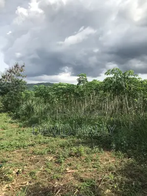 Farm Land for Sale at Mampong Akuapem