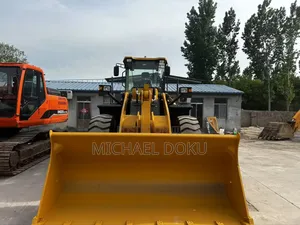 SDLG Wheel Loader Instalments