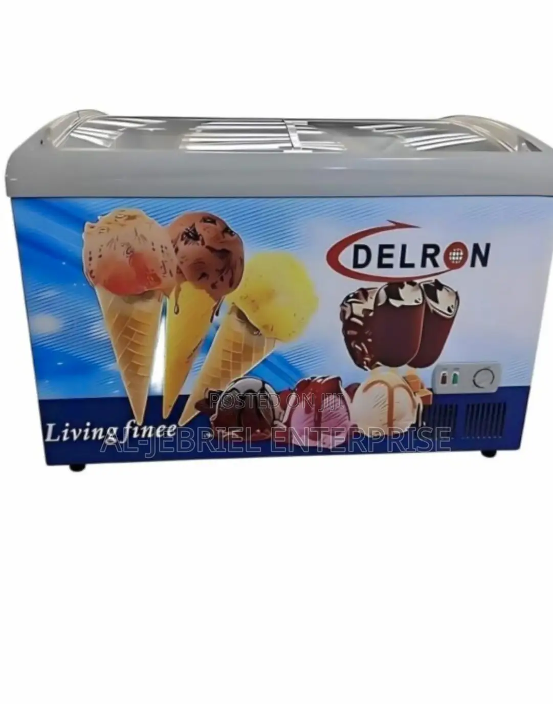 Delron 258l Display Freezer