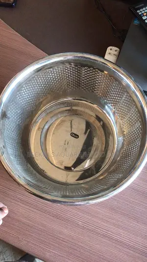 Bigger Drinking Bowls For Dogs (Xxxl -37 Cm)
