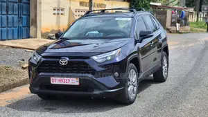 Toyota RAV4 XLE AWD 2024 Blue