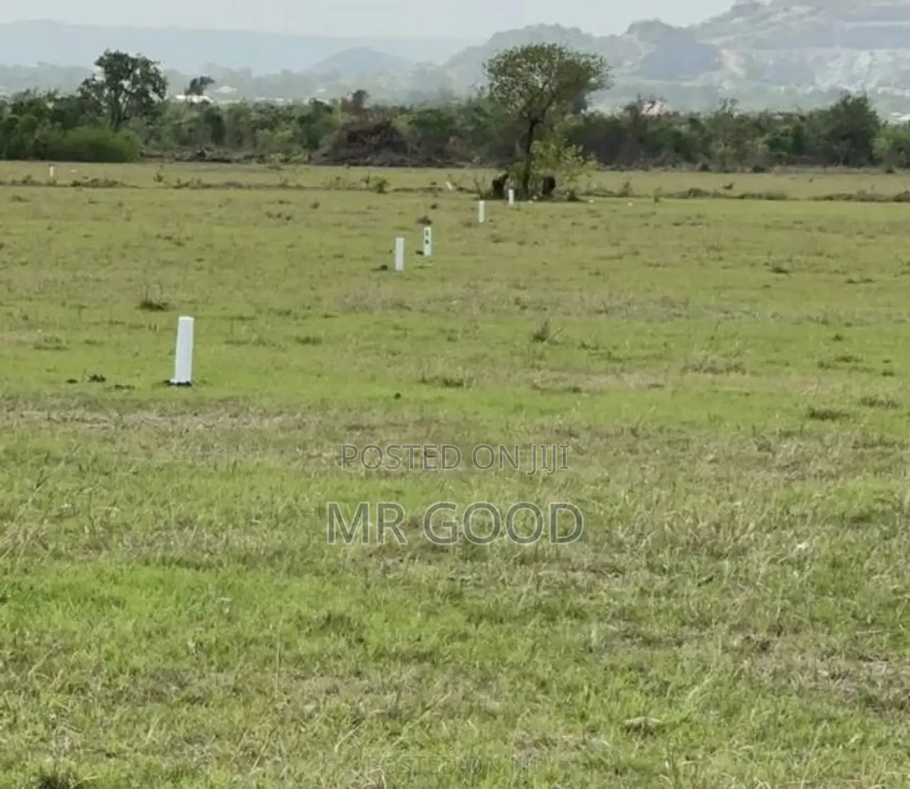 Land for Sale