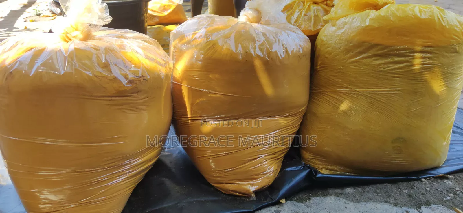 Ghc40 Ginger Ghc30 Turmeric Powder for Olonka