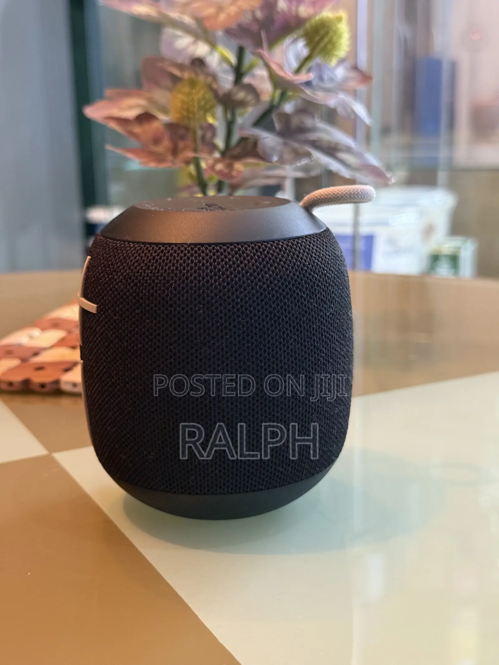 Ultimate Ear Speaker