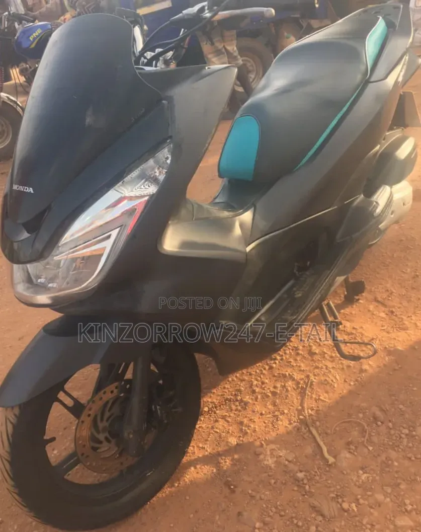 Honda Ignition 2024 White
