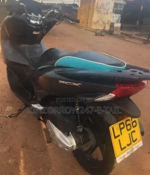 Honda Ignition 2024 White