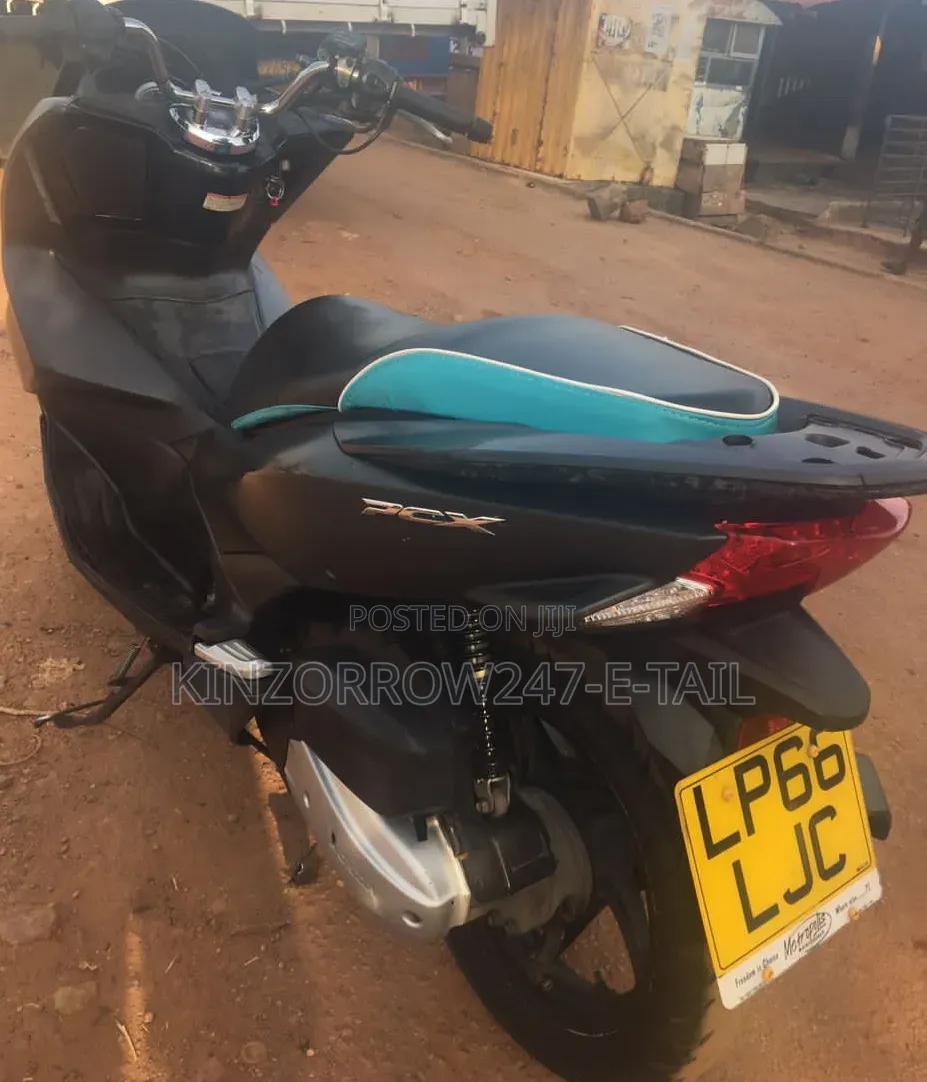 Honda Ignition 2024 White