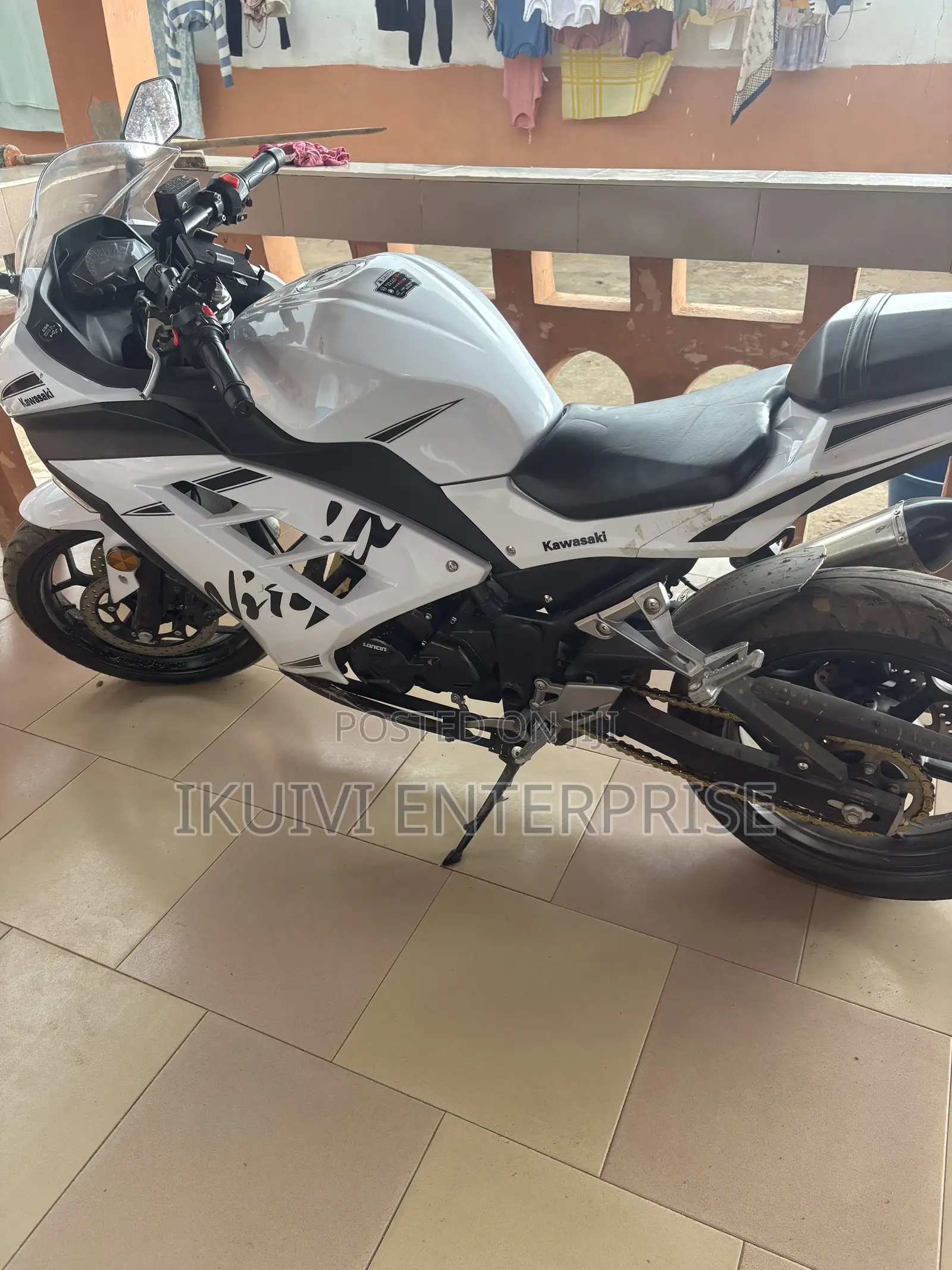 Kawasaki Ninja 300 2021 White