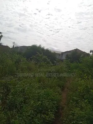 Registered 2 Plots of Land for Sale .