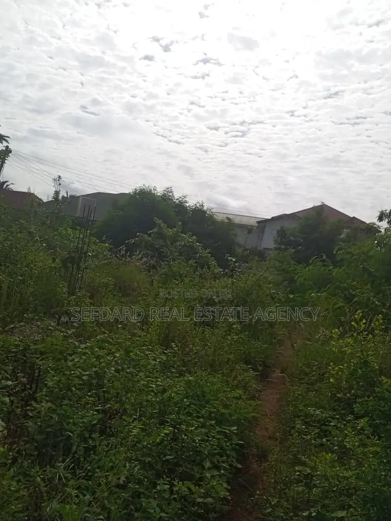 Registered 2 Plots of Land for Sale .