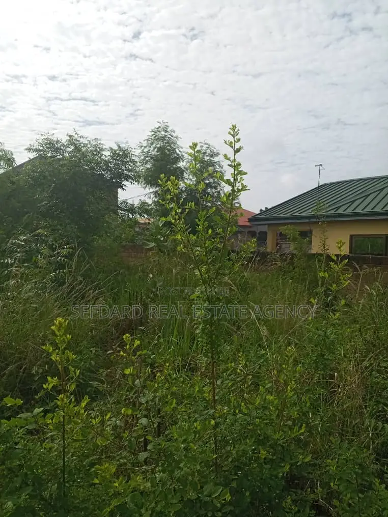 Registered 2 Plots of Land for Sale .