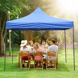 Foldable Canopy
