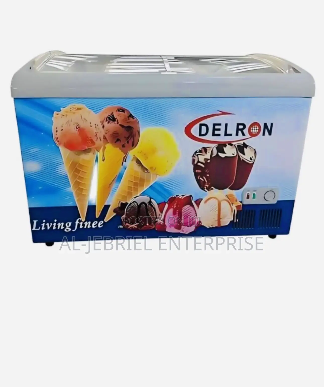 Delron Display Freezer 318l
