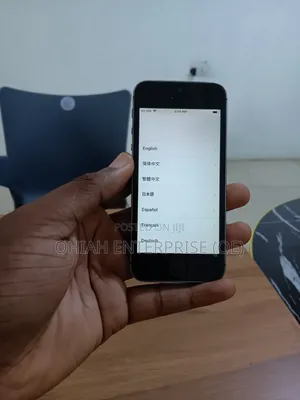 Apple iPhone 5s 16 GB Silver
